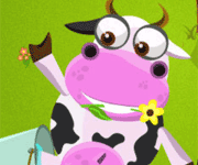 crazy cow