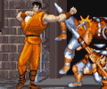 final fight