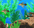 FISH TYCOON