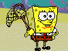 spongebob (kwallen vangen)